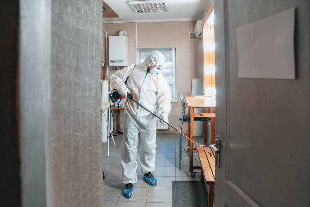 Best Mold Documentation for Insurance Claims  in Loyola, CA