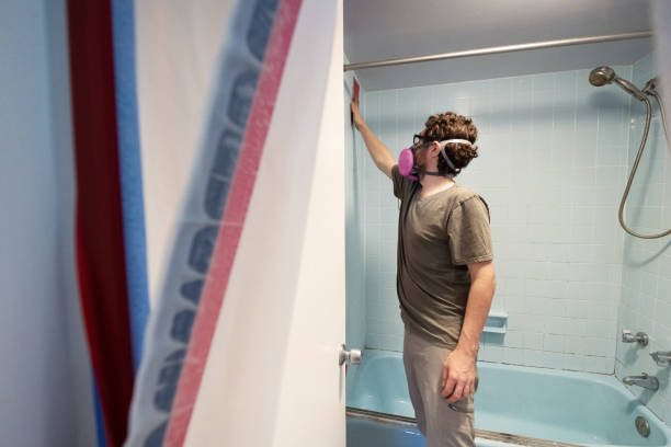 Best Mold Remediation for Healthcare Facilities  in Loyola, CA