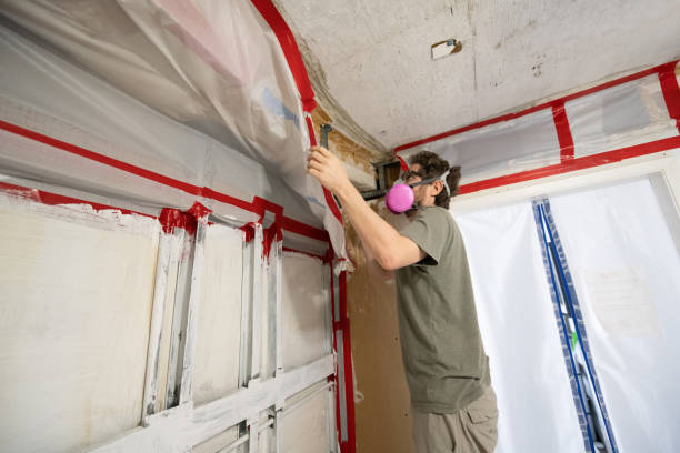 Best Forensic Mold Investigation  in Loyola, CA